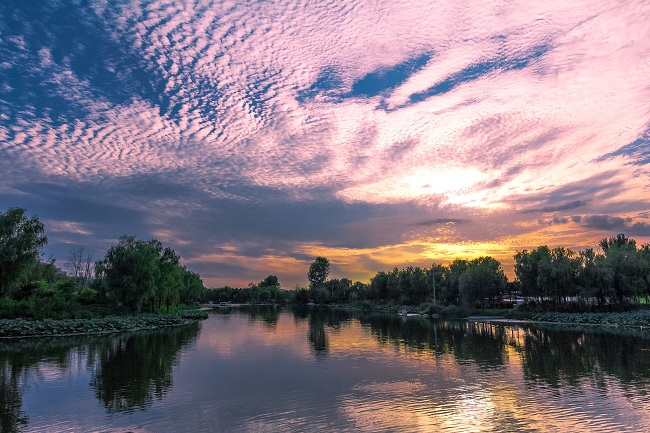 秦皇岛会员戴建军摄影作品《戴河美景》