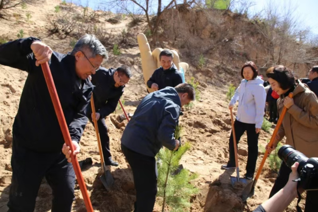 丰宁植树活动3 (2).jpg