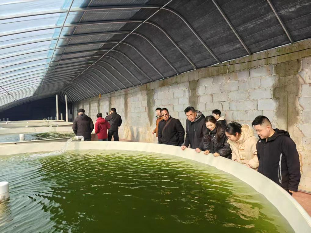 民建唐山市委古冶区工委调研本土企业 助力产业升级 (2).png