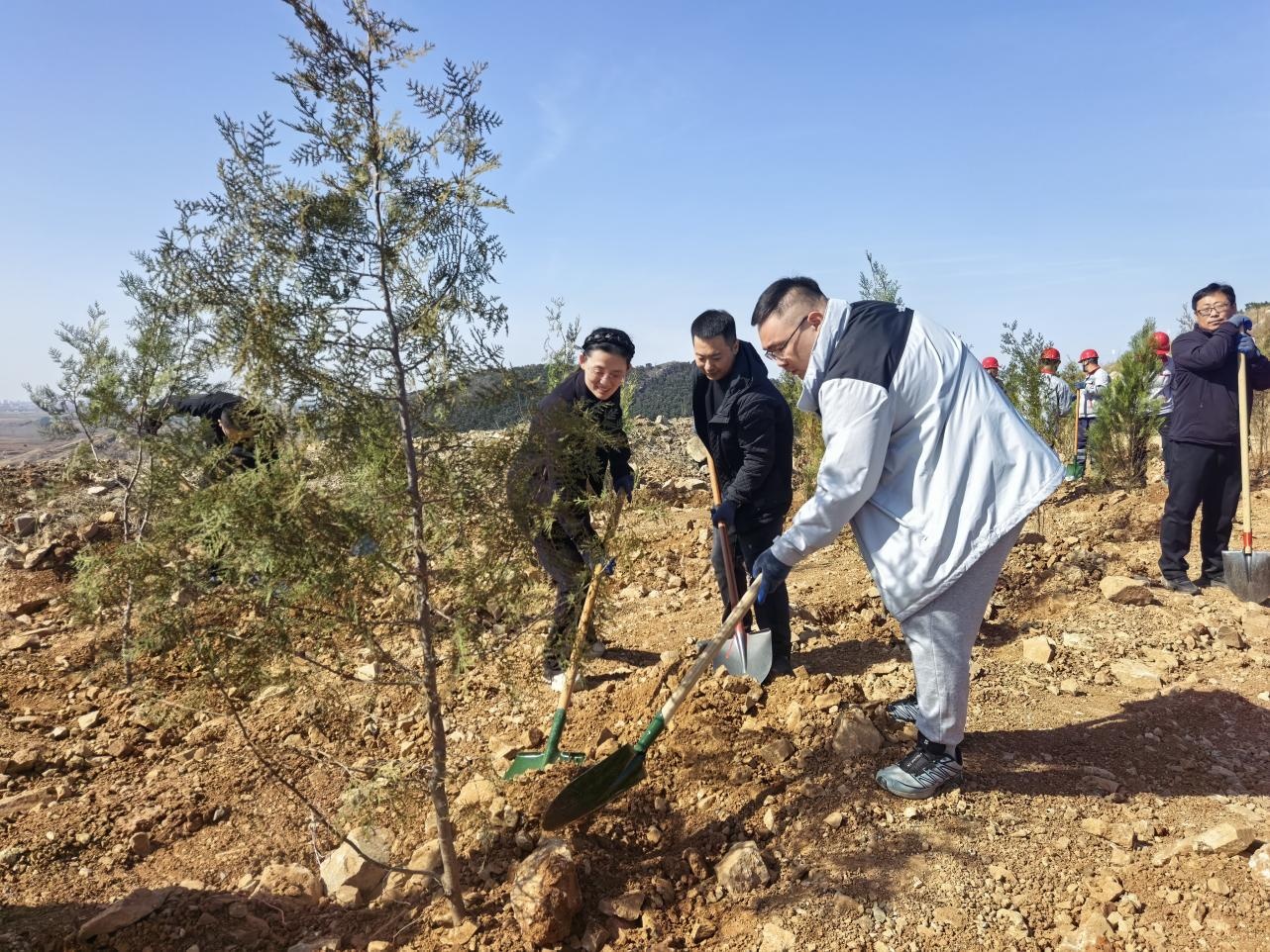 民建唐山市委丰润区总支积极参加义务植树活动 (2).png