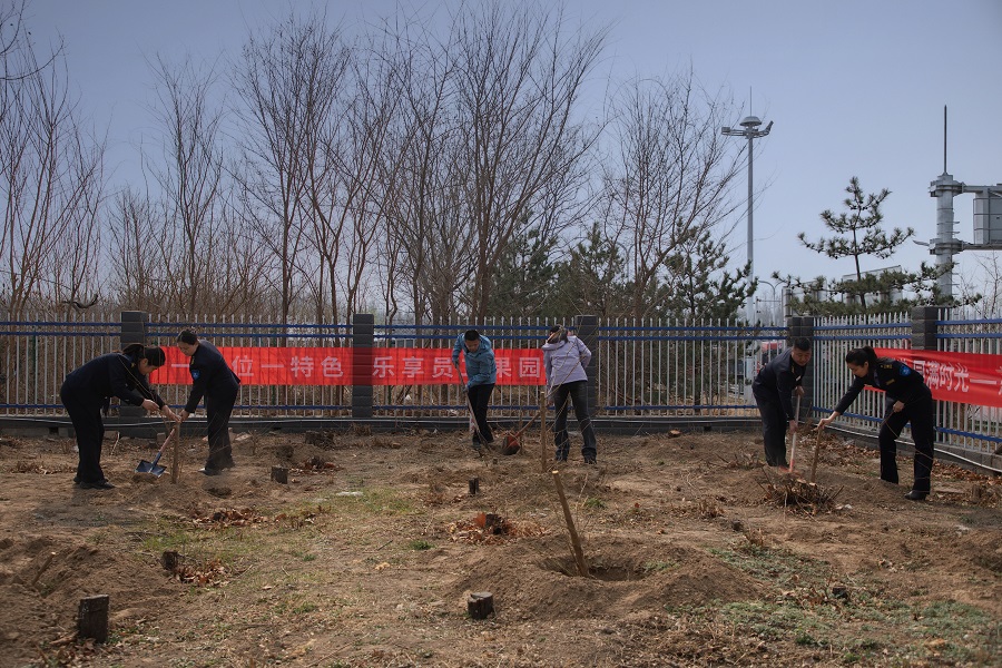 民建廊坊市委第一总支走进京台高速开展植树活动 (1).jpg