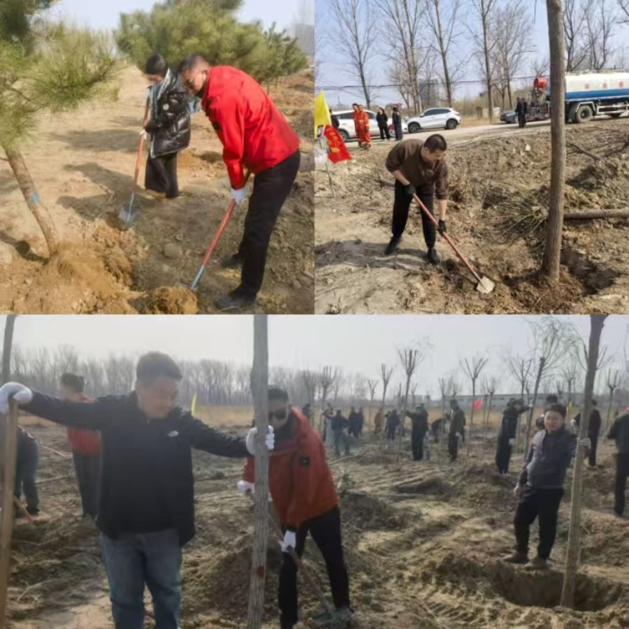 民建秦皇岛市委北戴河新区支部积极参加植树活动