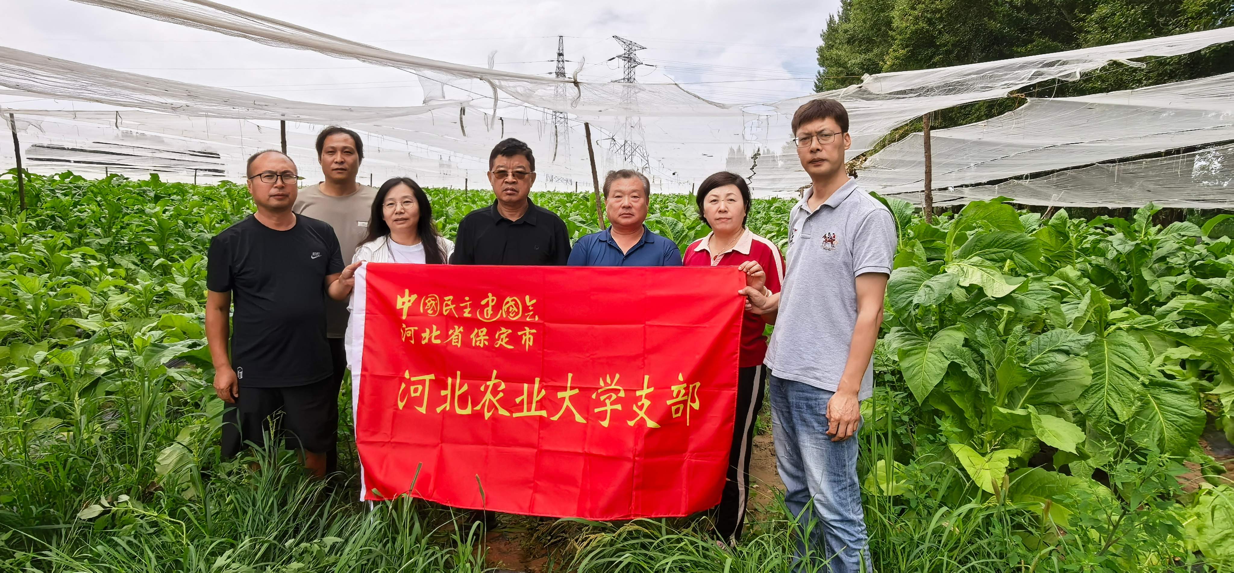 20260806民建保定市委河北农业大学支部赴蔚县开展农业调研.jpg