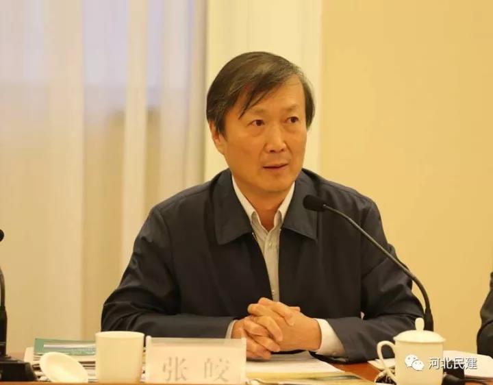 民建中央宣传部部长张皎应邀到会并讲话.jpg