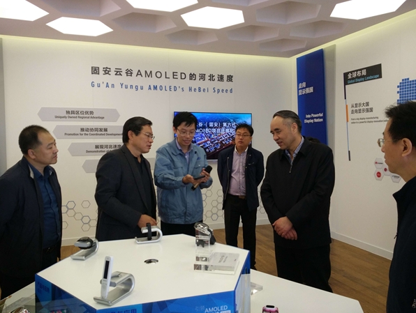 12日，辜胜阻在河北廊坊固安实地考察了京东方（河北）移动显示技术有限公司、固安翌光科技有限公司和云谷（固安）科技有限公司AMOLED项目，现场参观了固安城市规划馆和固安产业新城建设情况，并就创业创新、产城融合和京津冀协同发展听取有关情况汇报。.jpg