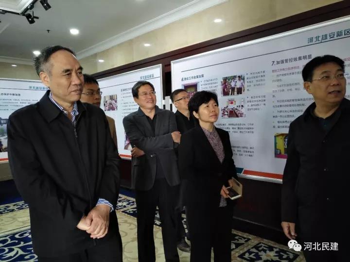 辜胜阻到河北雄安新区调研.jpg