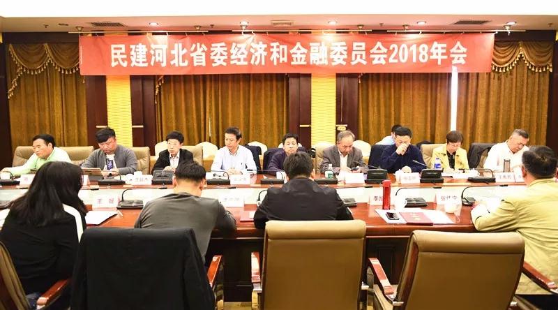 　　　　民建河北省委经济和金融委员会2018年年会在保定市召开.jpg