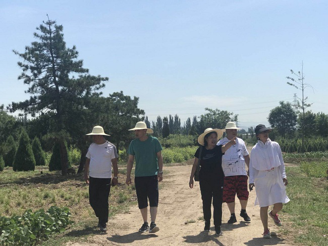 民建张家口市宣化区委三支部积极开展学习调研活动2-1.jpg