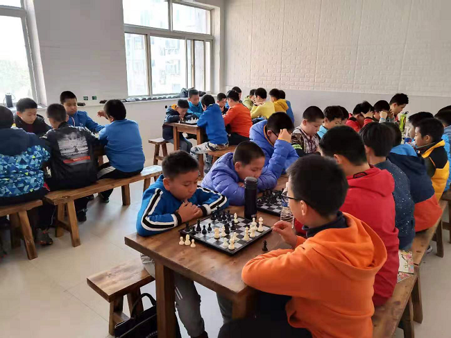 民建会员连续21年赞助海港区棋类比赛2-1.png
