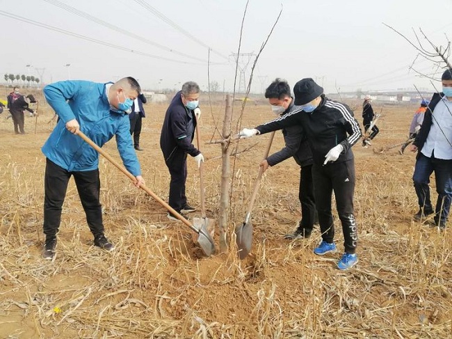 民建复兴区基层委员助力绿美复兴建设-3-1.jpg