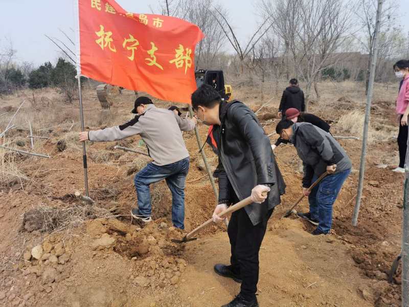 民建抚宁支部开展义务植树活动_绿化南娱海之滨1.jpg