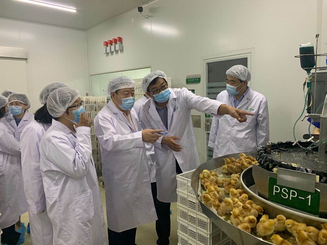 李海平就农业产业化赴经济技术开发区滏东现代农业产业园考察调研-9-1.jpg