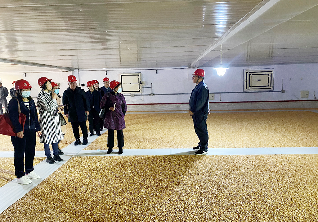 民建海港区委开展世界粮食日调研活动1-1.png