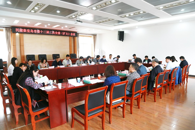 学习党史 砥砺前行 民建秦皇岛市委召开十二届二次全委扩大会-1.jpg