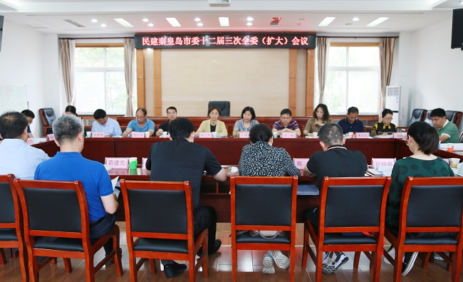 民建秦皇岛市委召开全委会议 学习习近平总书记“七一”重要讲话-1.jpg
