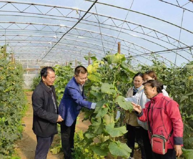 民建廊坊市委机关总支到市农科院试验田调研-1.jpg
