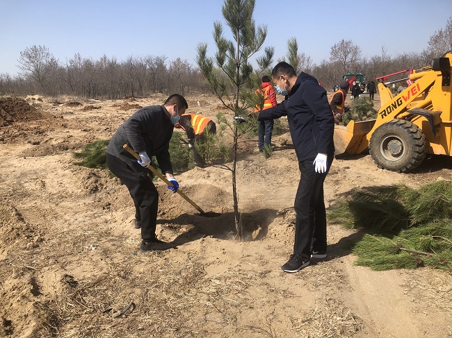 种植绿色希望 共建美丽新区----民建秦皇岛市委北戴河新区支部会员参加义务植树活动1-1.jpg