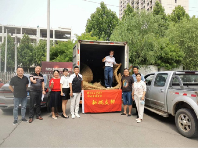 民建保定市委新城支部组织购买清苑“爱心瓜”1-1.jpg