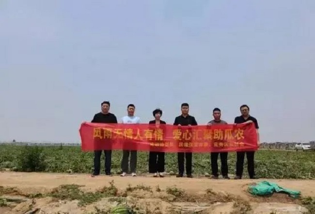 20220621冰雹无情 民建有爱——民建保定市委助力受灾瓜农3.jpg