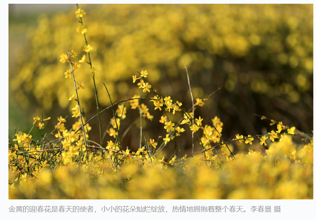 李春景摄影作品被采用1 (1).png