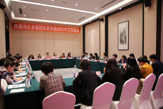 5月6日，民建河北省委妇女委员会召开2023年度工作会议-1.jpg