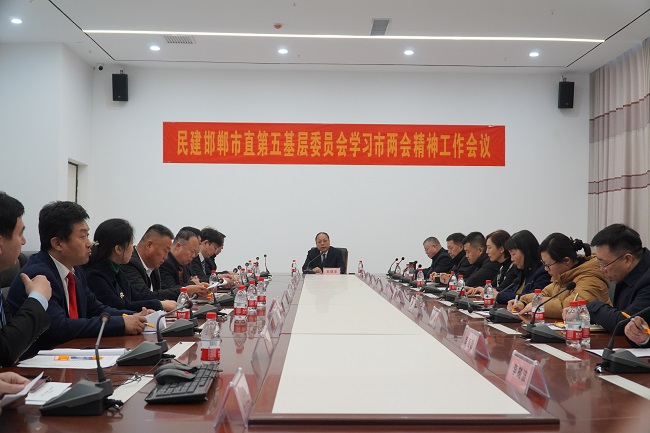 民建邯郸市直第五基层委员会召开学习市两会精神座谈会1 (2)-1.jpg