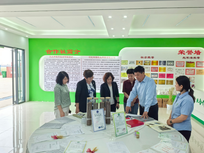 民建石家庄市委到栾城区调研 (2) (2).jpg