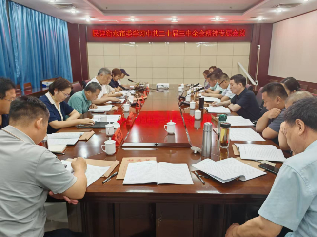 民建衡水市委学习二十届三中全会精神 (2).jpg