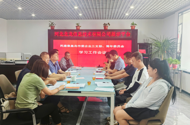 民建秦皇岛市委企业三支部、青年委员会联合召开学习工作会议 (2).jpg