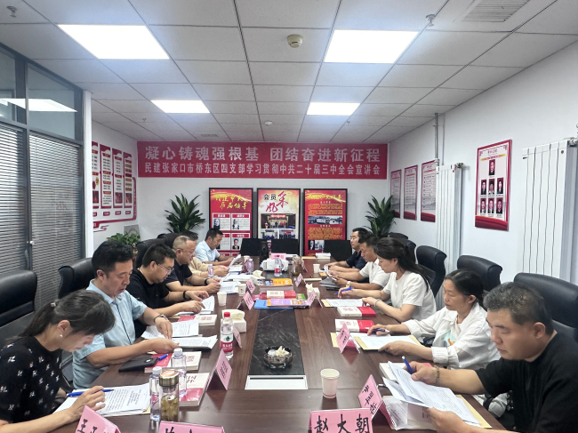 民建张家口市委桥东区基层委员会四支部开展学习贯彻二十届三中全会精神宣讲活动 (2).jpg