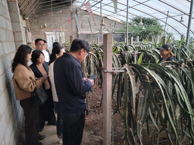 民建沧州市委市直三支部走访调研沧县沧高农业专业合作社2 (2).jpg