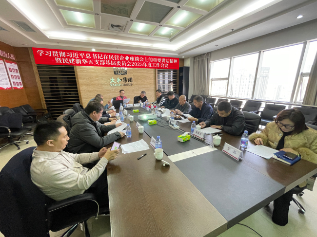 民建新华五支部基层委员会组织召开2025年度工作会议暨走进会员企业第一期活动 (1) (2).jpg