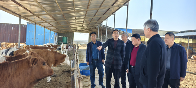 民建衡水市委开展“实干早争春  乡村振兴行”主题调研活动3.jpg