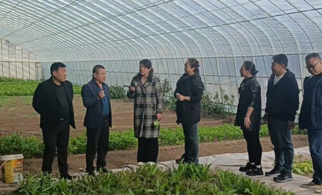 积极助力乡村振兴、深入开展对口联系——民建承德市委企业委员会组织开展调研活动-1.jpg