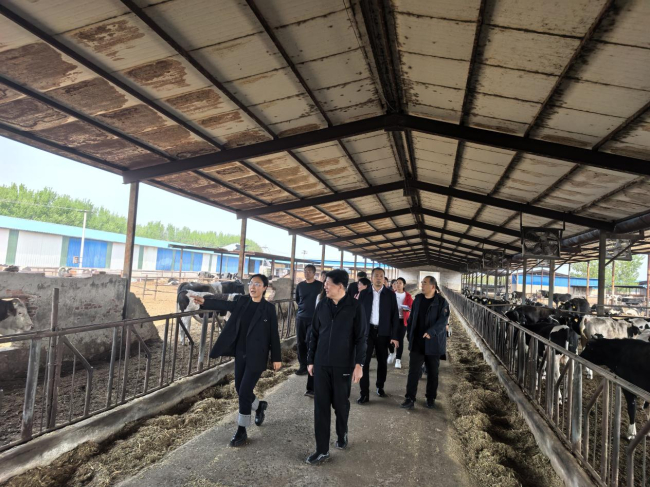民建河北省委副主委胡世宁赴会员企业走访调研.jpg
