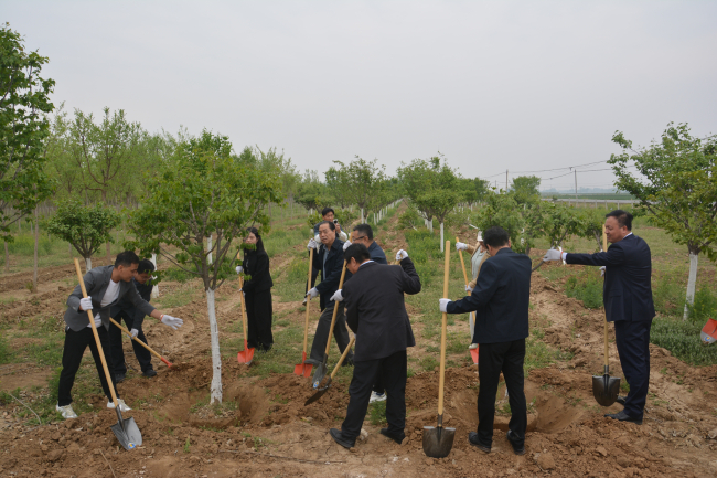 20250422民建保定市委三丰支部、河北农业大学支部、农业农村委员会联合开展植树活动3 (2).jpg