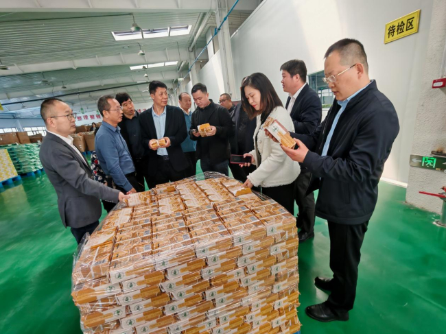 20250424民建保定市委东风支部、科创园支部与民建石家庄市委桥西六支部联合开展调研考察活动3.jpg