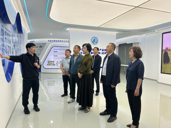 民建河北省委副主委武云秀出席民建沧州市委“毕业季•民建百企进高校”招聘活动4 (2).jpg