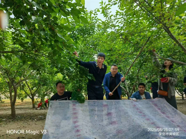 20250526民建保定市委东风支部与民革保定市委新阶层支部联合开展“同心公益·爱心助农”活动2 (2).jpg