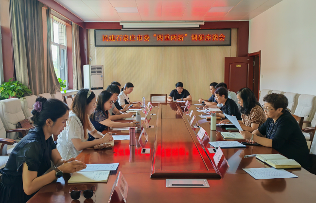 民建石家庄市委召开“两重两新”调研座谈会 (2).jpg