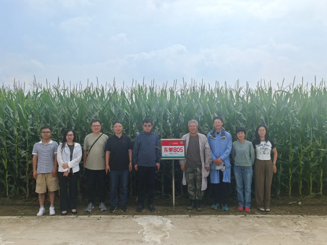 20250912民建保定市委河北农业大学支部赴沈阳东亚种业开展专项调研1 (2).jpg