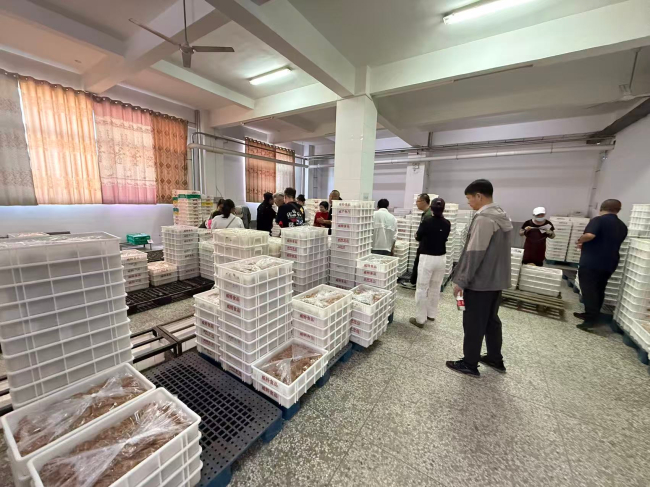 民建唐山市委路南区工委一支部到唐山威特食品有效公司参观调研 (2).jpg
