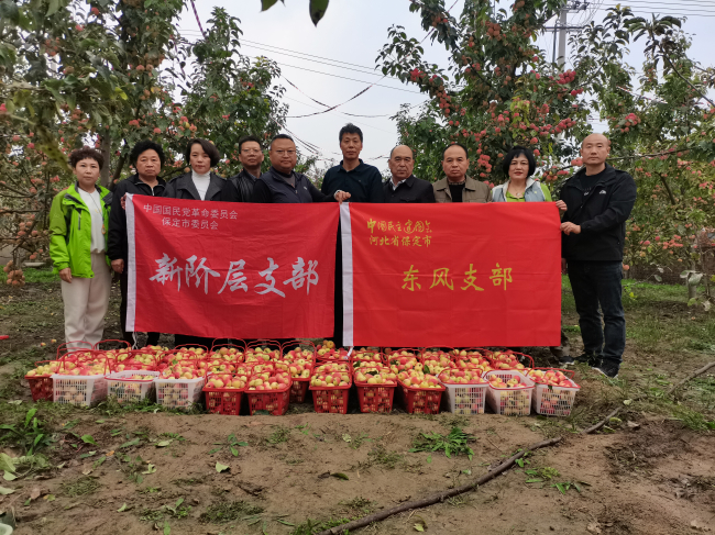 20251020民建保定市委东风支部联合民革保定市委新阶层支部举办“消费助农欢乐采摘节”活动1 (2).jpg